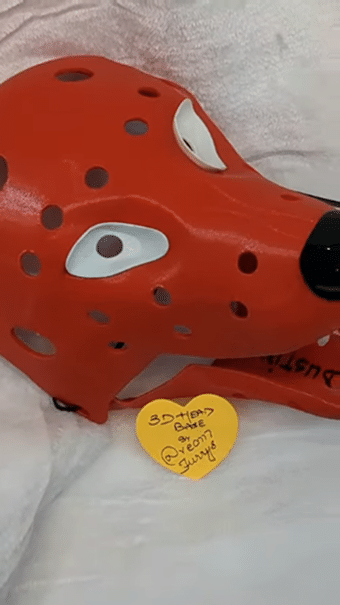 3D-printed head base