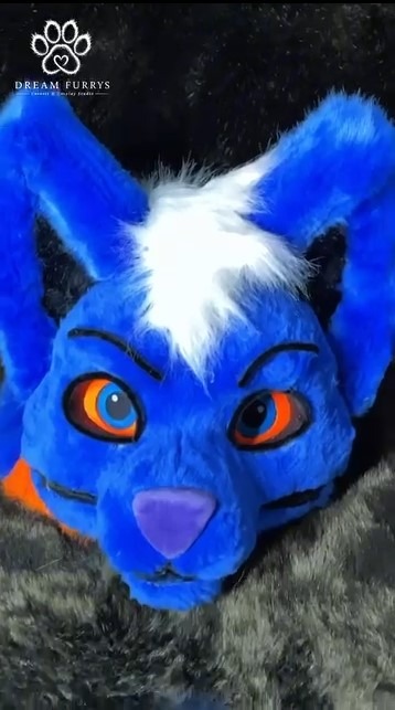 Blue Berry Head